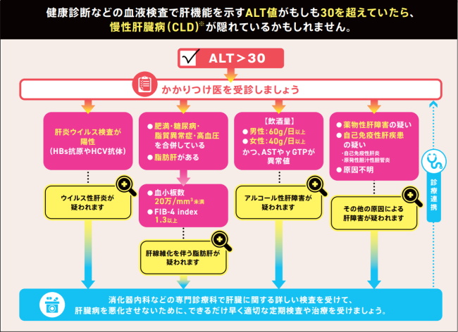肝臓検査とは何ですか?