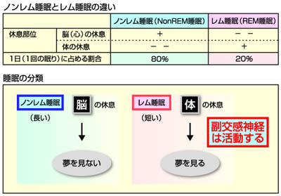 糖尿病 男の悩み 糖尿病net