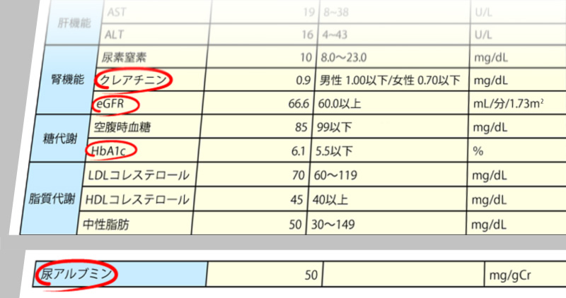 注目したい検査項目