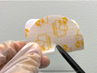 切り込みを入れる