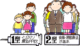 Q 642 小児 若年者の糖尿病は1型糖尿病が多く 大人の糖尿病は2型糖尿病が多いということですね 糖尿病q A1000 糖尿病ネットワーク